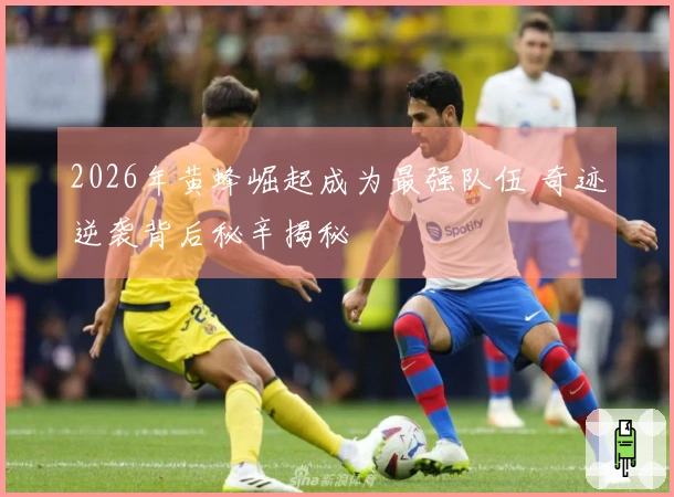 2026年黄蜂崛起成为最强队伍 奇迹逆袭背后秘辛揭秘