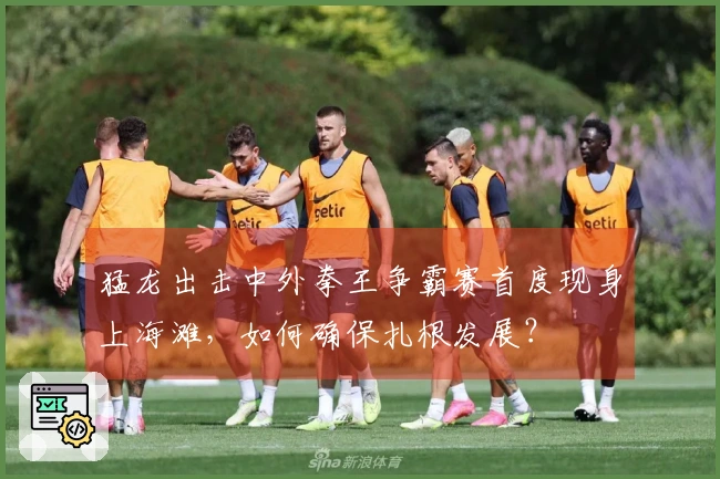 猛龙出击中外拳王争霸赛首度现身上海滩，如何确保扎根发展？