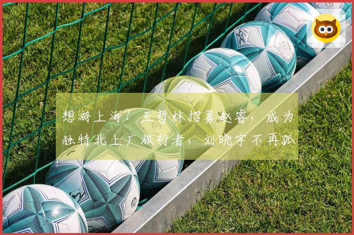 想游上海？王哲林招募赵睿，成为独特北上广旅行者，刘晓宇不再孤单。